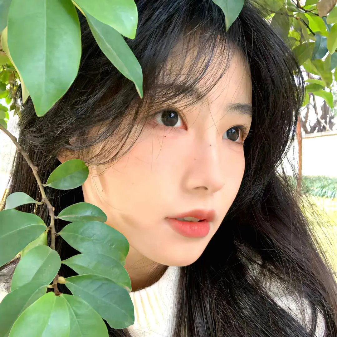 国家宝藏：古籍秘辛